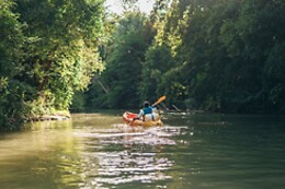 Canoe 77